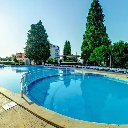 Detelina ゴールデンサンド