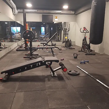 Detelina ゴールデンサンド