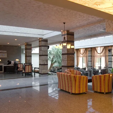 Detelina ゴールデンサンド