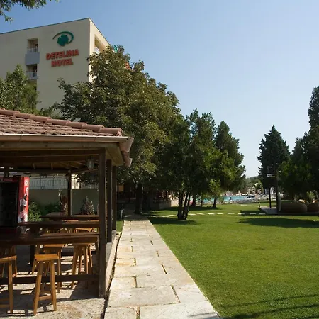 Detelina ゴールデンサンド