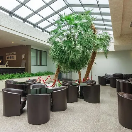 Detelina 골든샌드