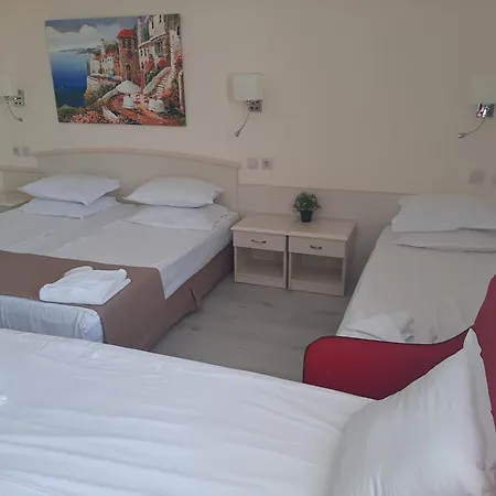 Detelina Hotel 3*