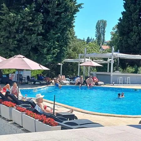 Отель Detelina